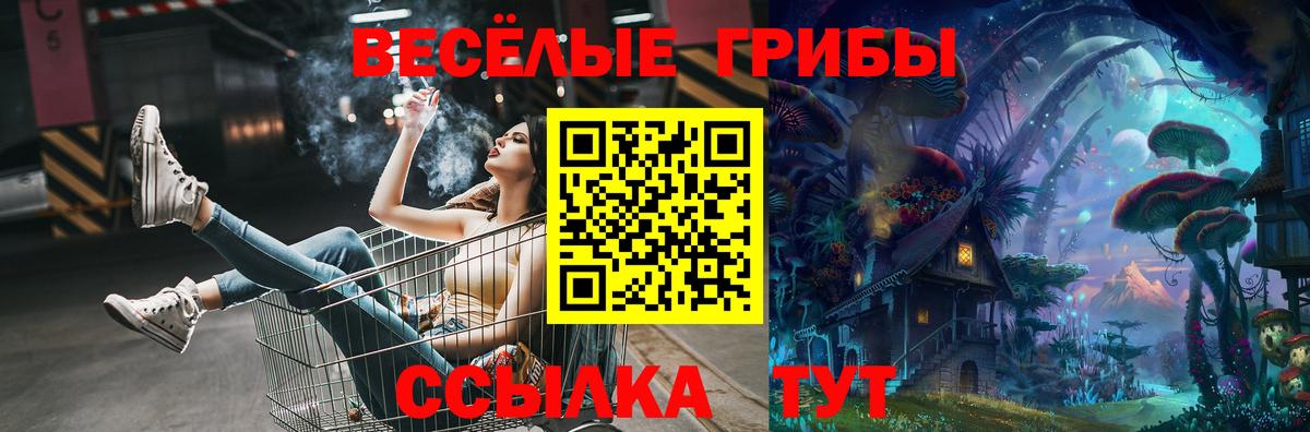Галлюциногенные грибы Psilocybe Буйнакск